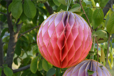 Ball